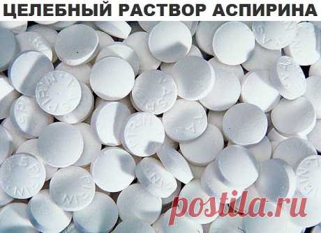 Одноклассники