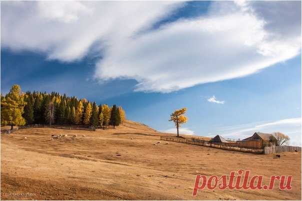 «На краю». Улаганское плато, Алтай. Автор фото — Эдуард Кутыгин: nat-geo.ru/photo/user/18701/
