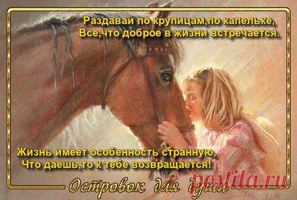 Мой Мир@Mail.Ru