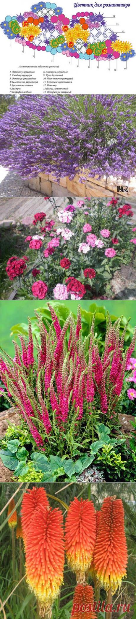 (+1) тема - Цветник | ОГОРОД БЕЗ ХЛОПОТ