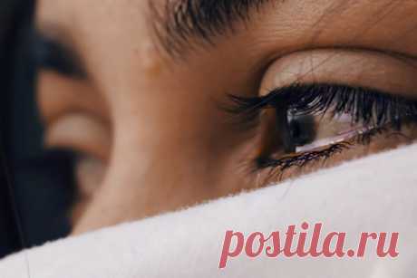 Женщина увидела подарок родственника и выгнала его из дома. Пользовательница Reddit под ником Far_Experience4284 рассказала, что выгнала своего 18-летнего племянника из дома после того, как увидела, что он подарил ее больной 16-летней дочери на день рождения. Шутник довел свою двоюродную сестру до слез, поэтому мать девочки не смогла сдержать эмоции.