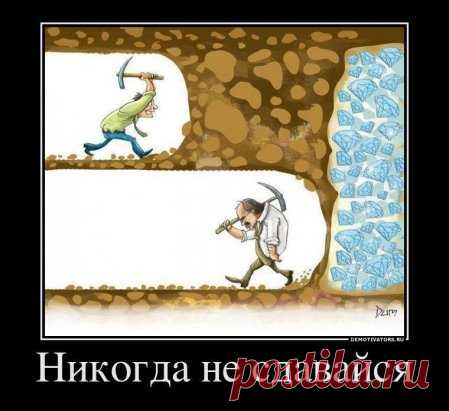 Ничто в мире не может заменить упорства. Талант не заменит его: нет ничего более обычного, чем талантливый неудачник. Гений тоже не заменит его: непризнанная гениальность почти вошла в поговорку. Образование не заменит упорства: мир полон образованных изгоев. Лишь упорство и решимость всемогущи. Лозунг «не сдавайся» решал, решает и всегда будет решать любые человеческие проблемы. /Джон Кулидж/
#успех #упорство