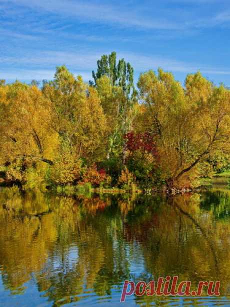 480 карточек в коллекции «Фото недели с 28 сентября по 4 октября» пользователя ЯндексКоллекции в Яндекс.Коллекциях