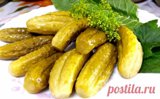 Огурцы в горчичной заливке на зиму: 7 рецептов
