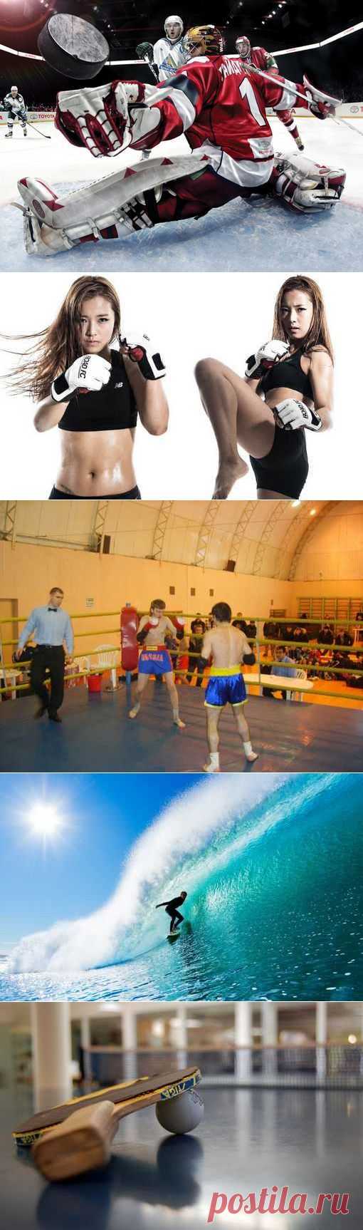 Компьютерный спорт, Капоэйра, Боулинг, Фехтование. (1/1) - Спортивный форум. - Спортивный сайт