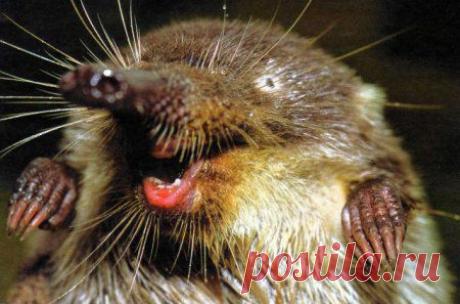 Забавные истории! Смейтесь на здоровье