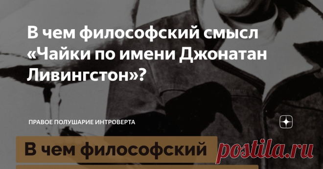 В чем философский смысл «Чайки по имени Джонатан Ливингстон»? Повесть-притча «Чайка по имени Джонатан Ливингстон» вышла в 1970 году и покорила читателей простотой изложения, сильными метафорами и общим духовным порывом. Причем автора сложно назвать профессиональным писателем: всю жизнь он занимается полетами на малой авиации.
Давайте посмотрим, как Ричард Бах смог завоевать любовь читателей и чем примечательна его повесть.
О чем эта повесть?
Ричард Бах