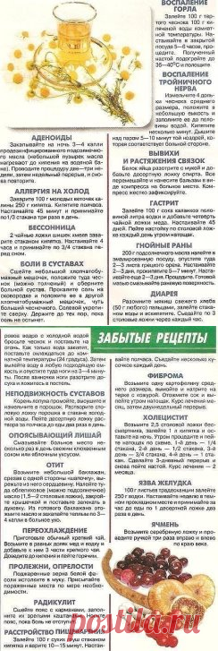 Одноклассники