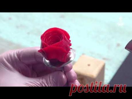 Урок из бесплатной серии уроков МК "Кремовая флористика, сезон №1". Работаем масляным кремом "Глазурь". Это по-прежнему мой самый любимый крем. И как-только ...