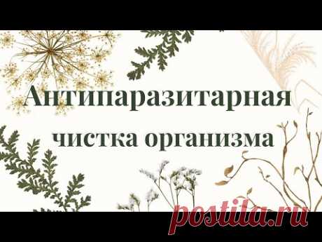 Антипаразитарная Чистка Организма | "Академия Здоровья" Юлии Лещинской
