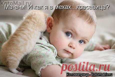 Не совсем в тему... | KotoMail.ru