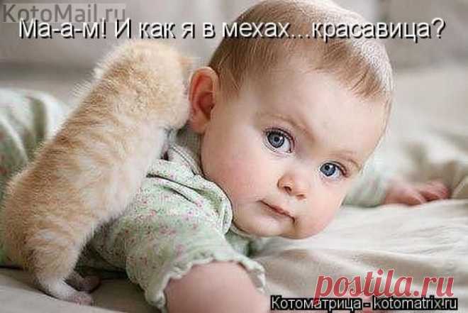 Не совсем в тему... | KotoMail.ru