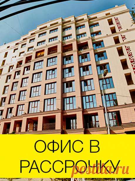 животные зимой: 4 тыс. видео найдено в Яндекс.Видео