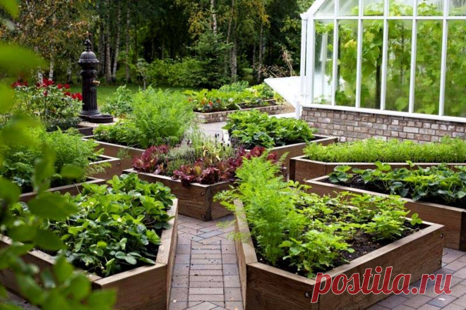 Высокие грядки на даче своими руками: фото- и видеоинструкции