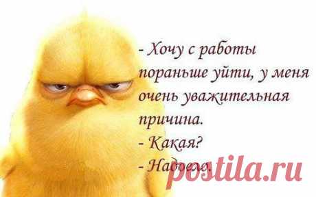 Одноклассники