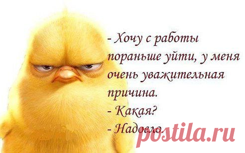 Одноклассники