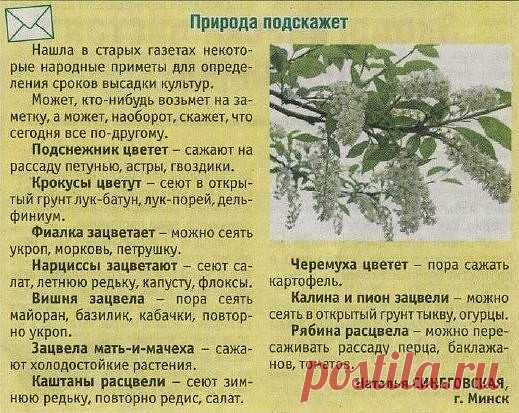 Самоделкино