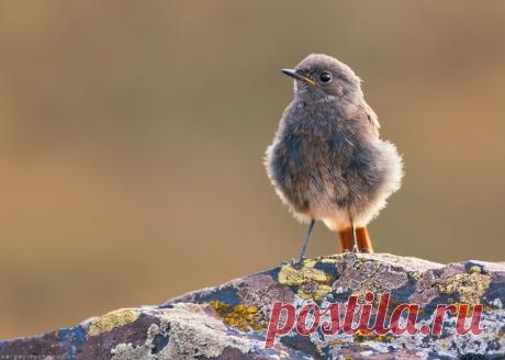На скалах МОПРа - Блог фотографа Сергія Рижкова