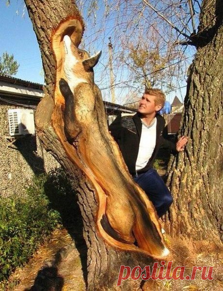 ТАЛАНТ