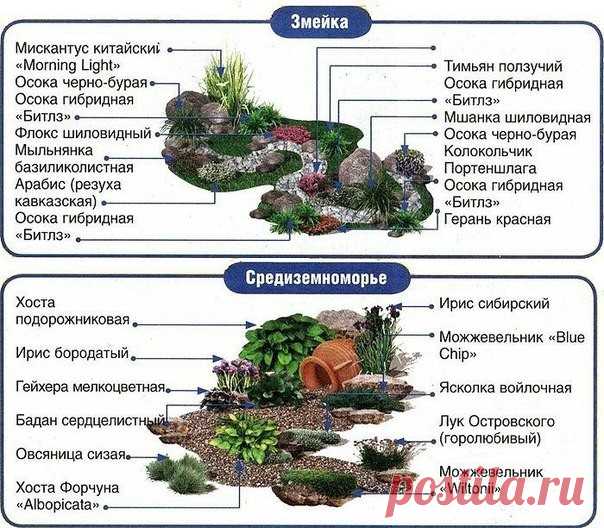 (2) Одноклассники