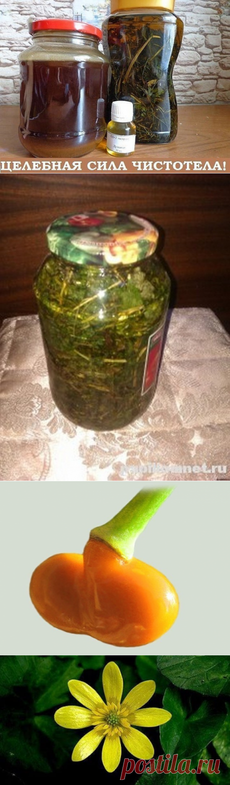 Одноклассники
