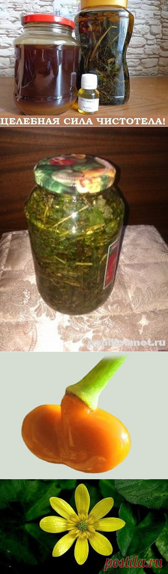 Одноклассники