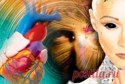 Можно ли трансплантировать душу? | Земля - Хроники жизни