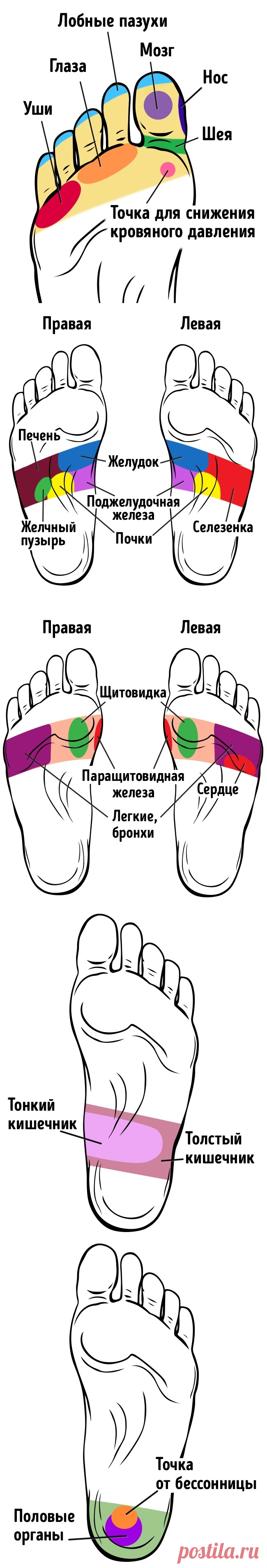 21 точка на стопах, массаж которых улучшает самочувствие