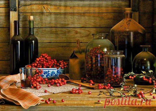 Домашнее вино: рецепты, технология изготовления, советы, видео