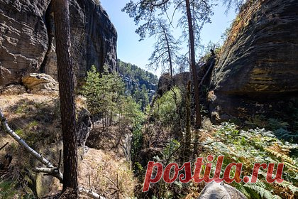 Пожилой мужчина сорвался со скалы и погиб на глазах дочерей. Пожилой мужчина сорвался с 25-метровой скалы возле водопада Перлинг-Брук в Австралии и умер на глазах у двух дочерей. Одна из них попыталась спуститься к подножию скалы, чтобы помочь отцу, но спасти его уже не удалось. Позже она была доставлена в безопасное место вертолетом службы скорой помощи штата Квинсленд.