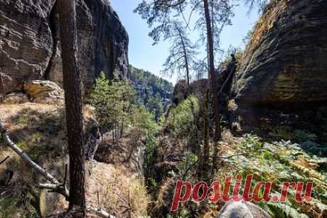 Пожилой мужчина сорвался со скалы и погиб на глазах дочерей. Пожилой мужчина сорвался с 25-метровой скалы возле водопада Перлинг-Брук в Австралии и умер на глазах у двух дочерей. Одна из них попыталась спуститься к подножию скалы, чтобы помочь отцу, но спасти его уже не удалось. Позже она была доставлена в безопасное место вертолетом службы скорой помощи штата Квинсленд.