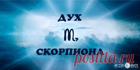 ДУХ СКОРПИОНА | АСТРО ПУТЬ | Яндекс Дзен