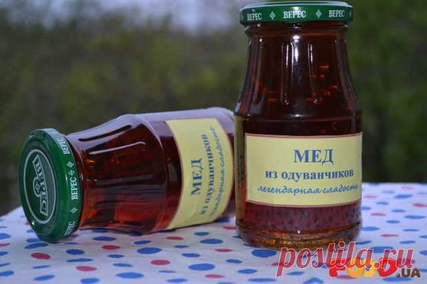 Мёд из одуванчиков - Кулинарные рецепты на Food.ua