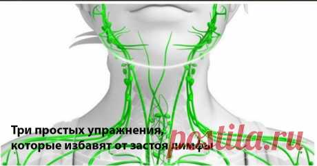 Три простых упражнения, которые избавят от застоя лимфы Читать далее...