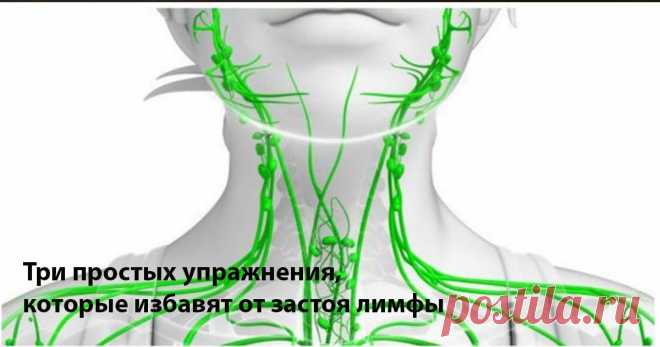 Три простых упражнения, которые избавят от застоя лимфы Читать далее...