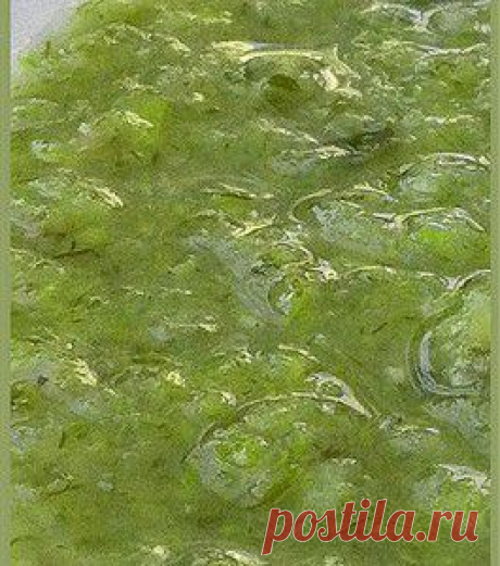 Суп из лука-порея и картофеля - BestCook