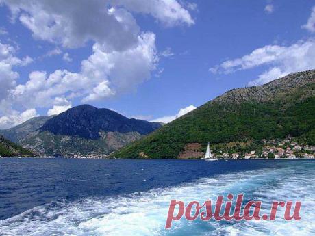 Momir Matkovic - Momir Matkovics Fotos | Facebook