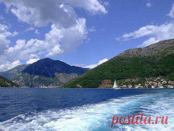 Momir Matkovic - Momir Matkovics Fotos | Facebook