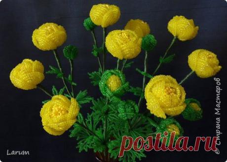 Купальница | Страна Мастеров