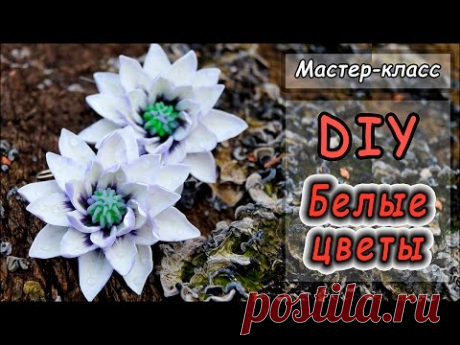 ❤ Серьги "Белоснежные цветы" из полимерной глины Cernit ❤ Мастер-класс по лепке ❤ Мастер-класс ❤
