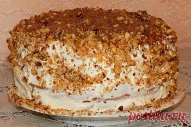 Домашний СМЕТАННИК. Простой и удивительно вкусный – В РИТМЕ ЖИЗНИ