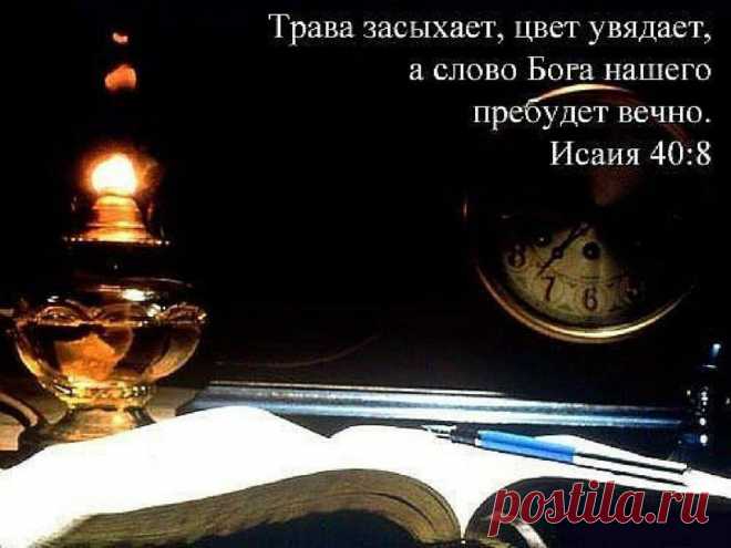 (6) Viktoriia Repetskaya