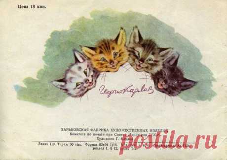 Евгения Рыжикова