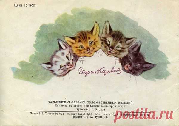 Евгения Рыжикова