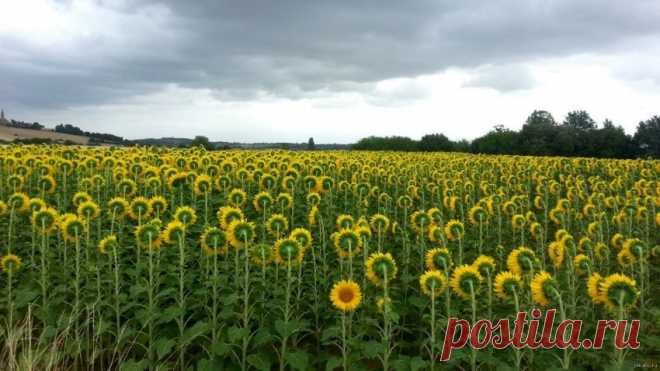 Одинокий бунтарь. «Мне не нужно никакое солнце»
