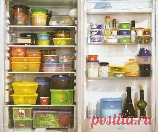 Как сохранить свежесть продуктам питания. | Познавательный сайт ,,1000 мелочей"