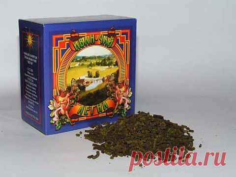 ИВАН ЧАЙ: ПОЛЕЗНЫЕ СВОЙСТВА