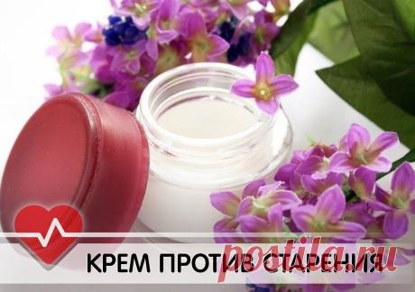 Секреты здоровья