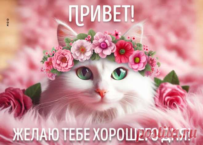 Привет! Хорошего настроения на весь день!