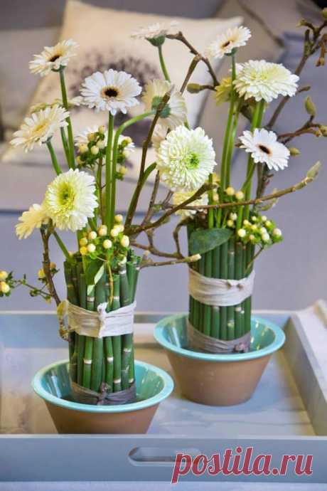 флористика